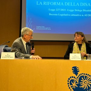 riforma disabilita 2